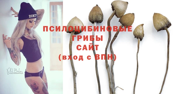 ECSTASY Володарск
